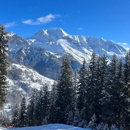 Apartment Le Tyrol La Plagne-Tarentaise